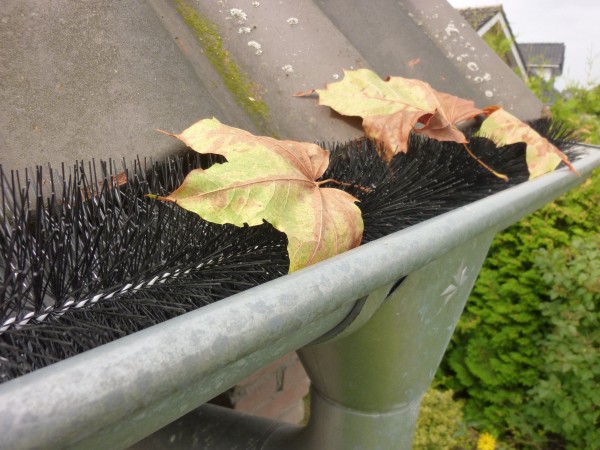 Blätter Blatt Schutz Mader Dachrinne Bürste